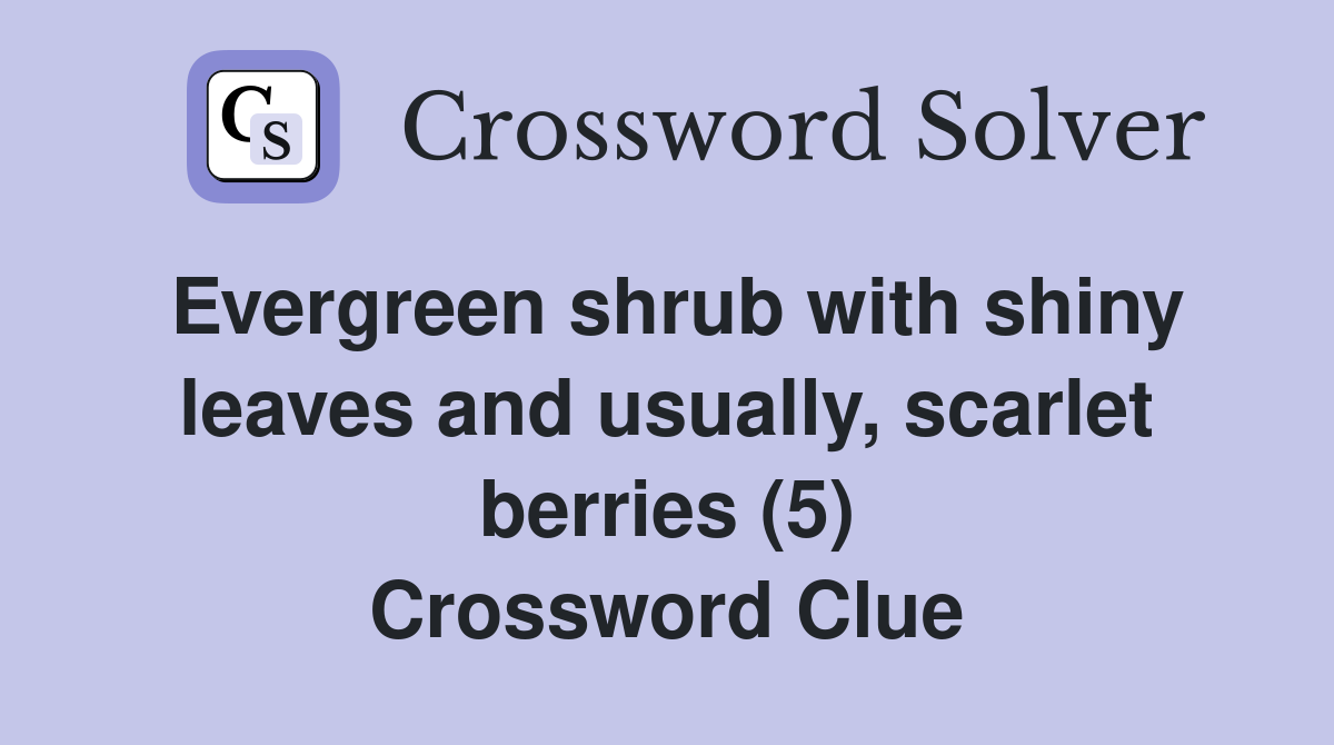 Evergreen shrub with shiny leaves and usually, scarlet berries (5) Crossword Clue