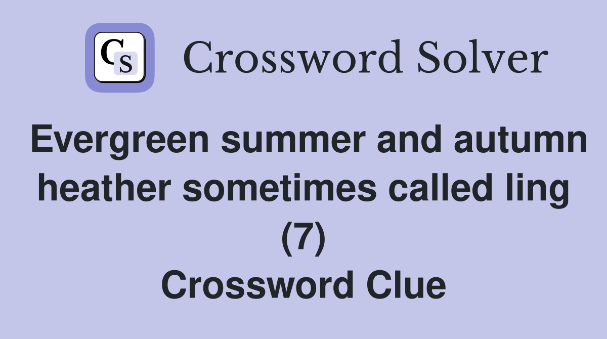 Evergreen summer and autumn heather sometimes called ling (7) Crossword Clue