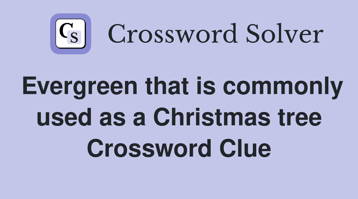 Evergreen that is commonly used as a Christmas tree Crossword Clue
