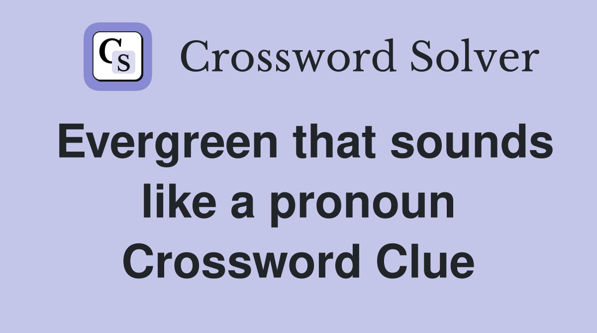 Evergreen that sounds like a pronoun Crossword Clue