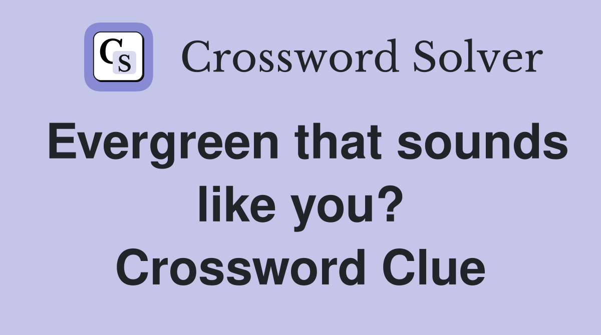 Evergreen that sounds like you? Crossword Clue