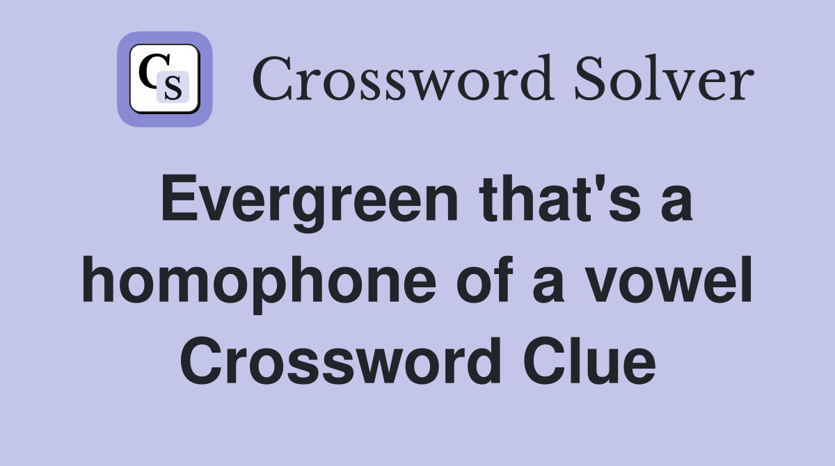 Evergreen that's a homophone of a vowel Crossword Clue