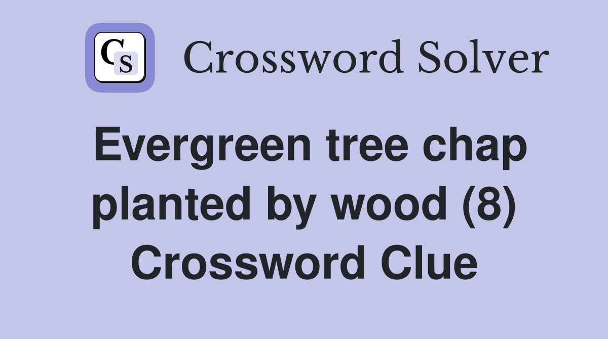 Evergreen tree chap planted by wood (8) Crossword Clue