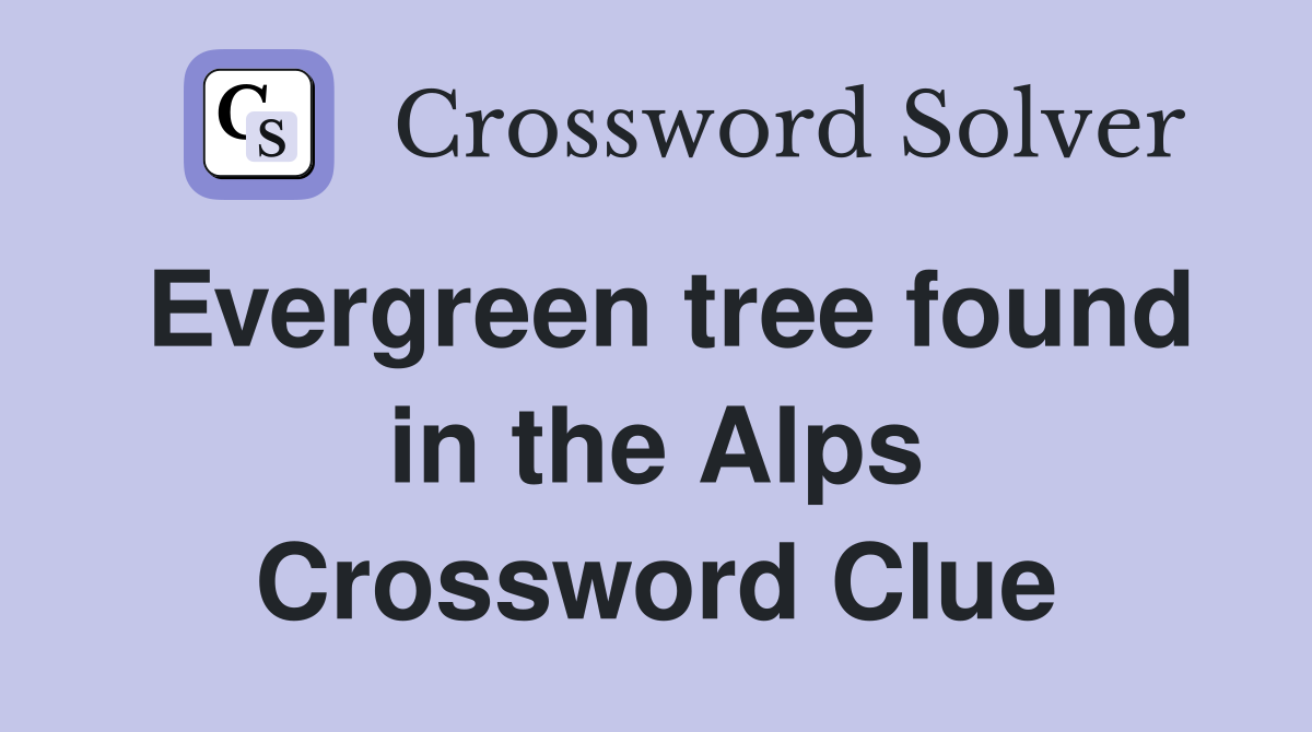 Evergreen tree found in the Alps Crossword Clue