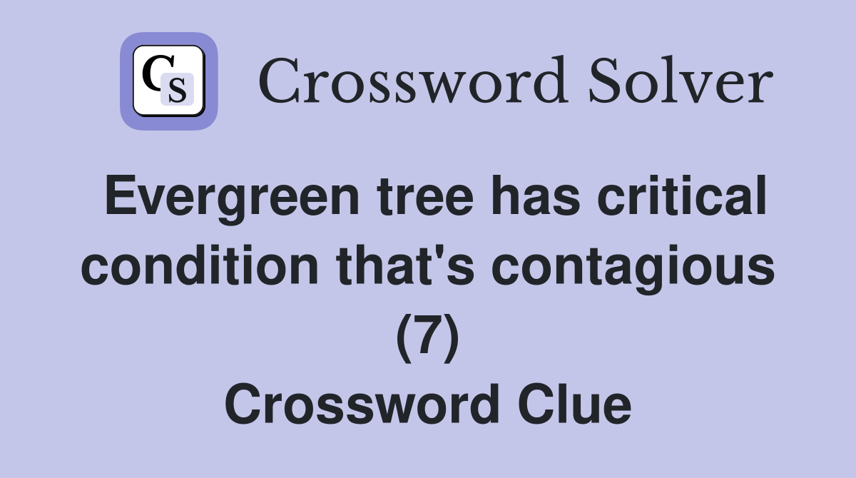 Evergreen tree has critical condition that's contagious (7) Crossword Clue