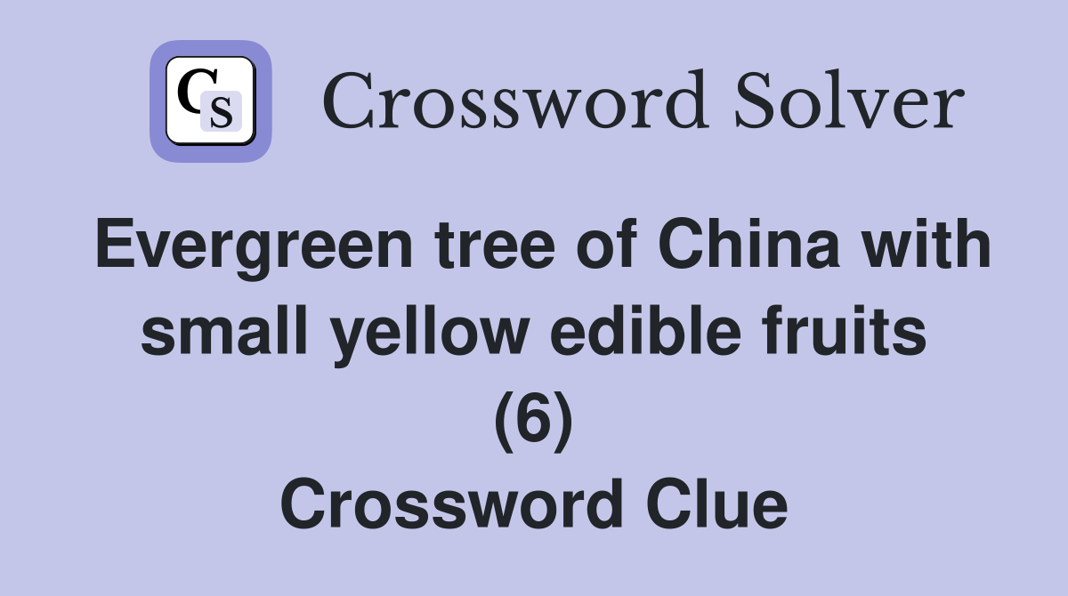 Evergreen tree of China with small yellow edible fruits (6) Crossword Clue