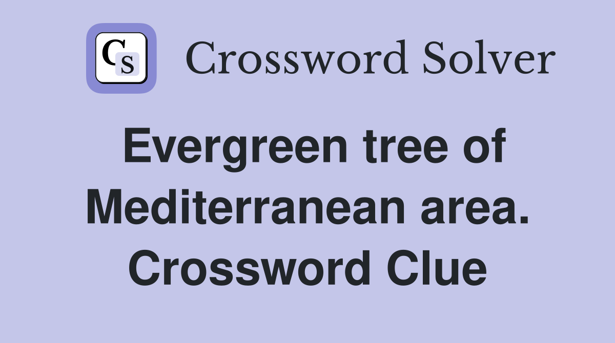 Evergreen tree of Mediterranean area. Crossword Clue