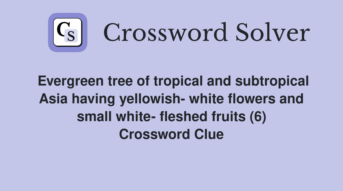 Evergreen tree of tropical and subtropical Asia having yellowish- white flowers and small white- fleshed fruits (6) Crossword Clue