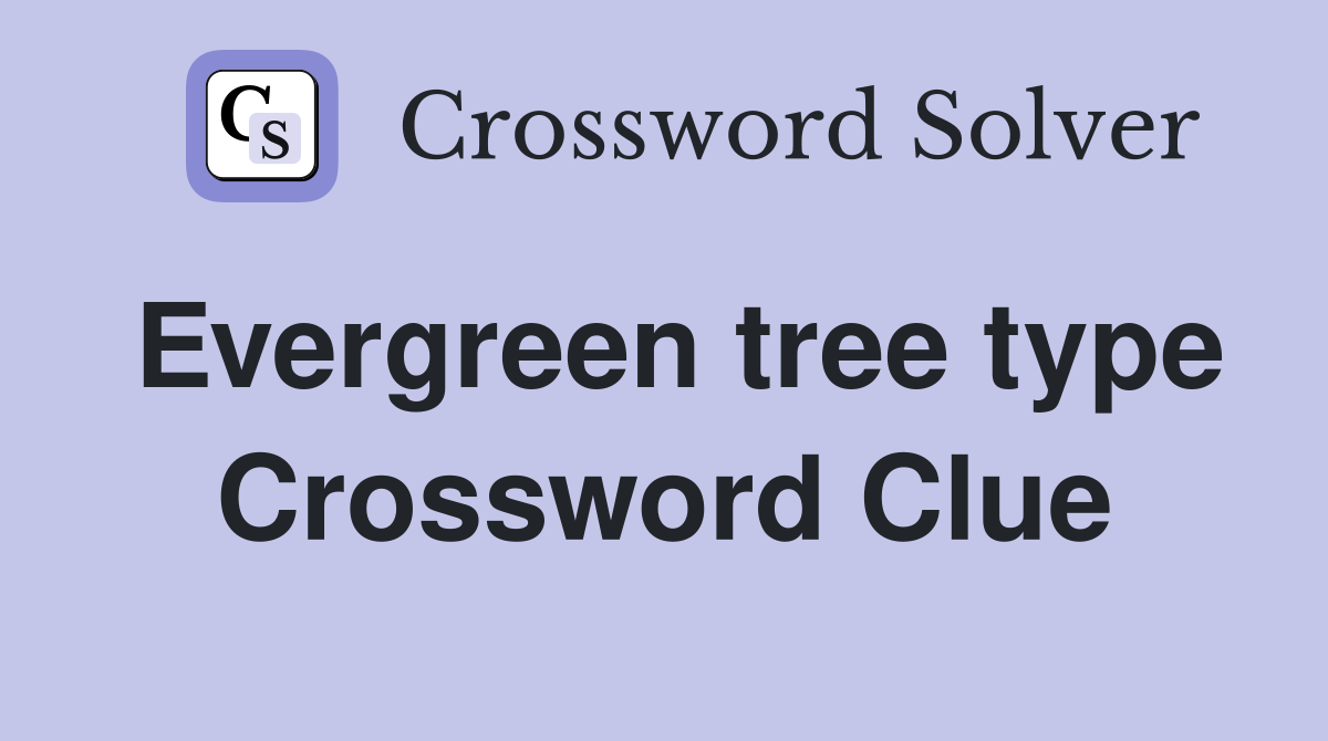 Evergreen tree type Crossword Clue