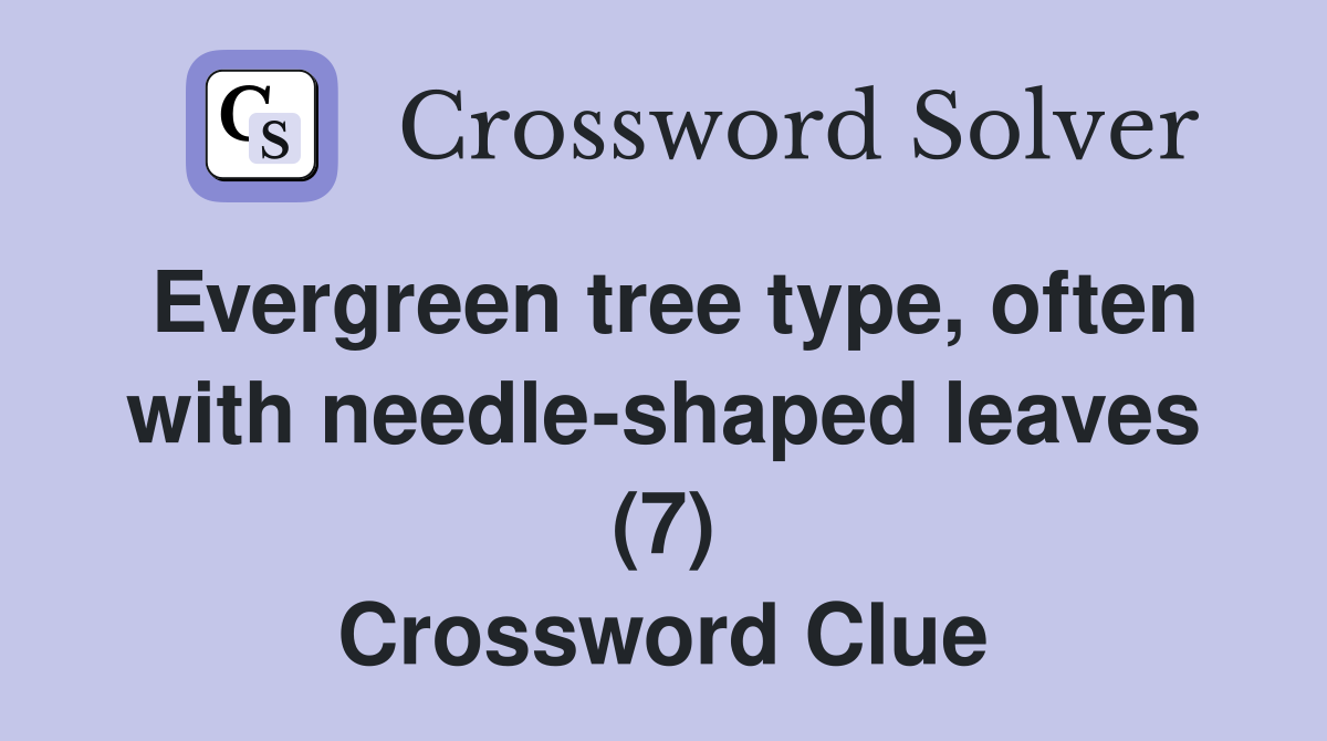 Evergreen tree type, often with needle-shaped leaves (7) Crossword Clue