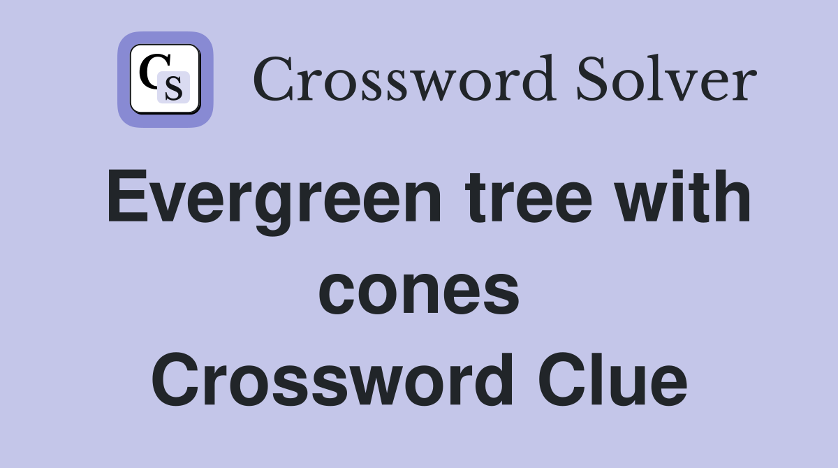 Evergreen tree with cones Crossword Clue