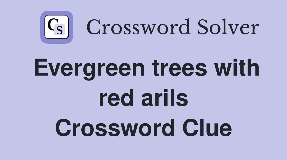 Evergreen trees with red arils Crossword Clue