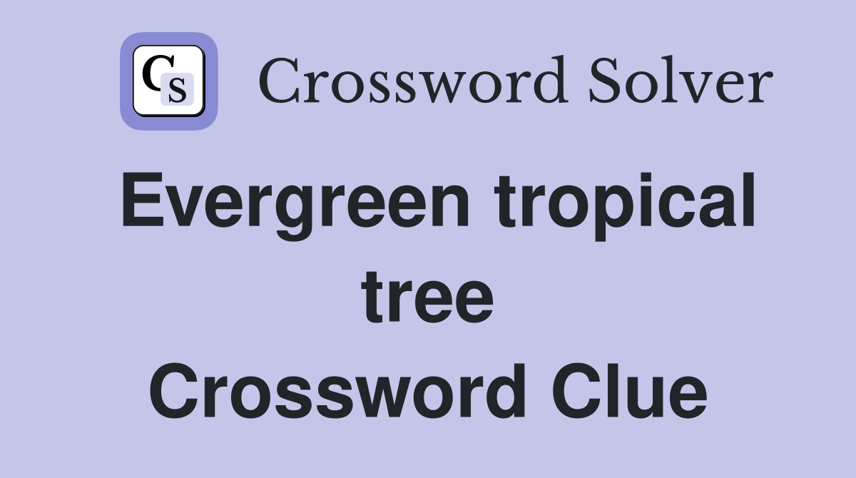 Evergreen tropical tree Crossword Clue