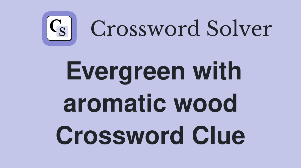 Evergreen with aromatic wood Crossword Clue