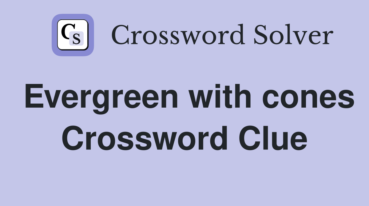 Evergreen with cones Crossword Clue