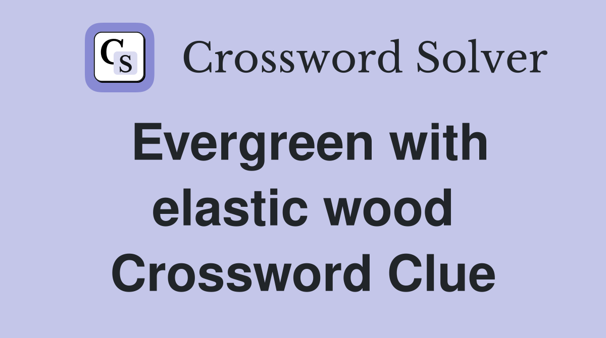 Evergreen with elastic wood Crossword Clue