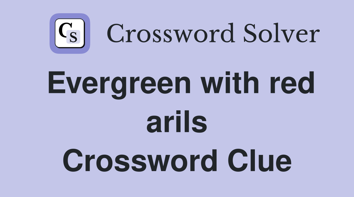 Evergreen with red arils Crossword Clue