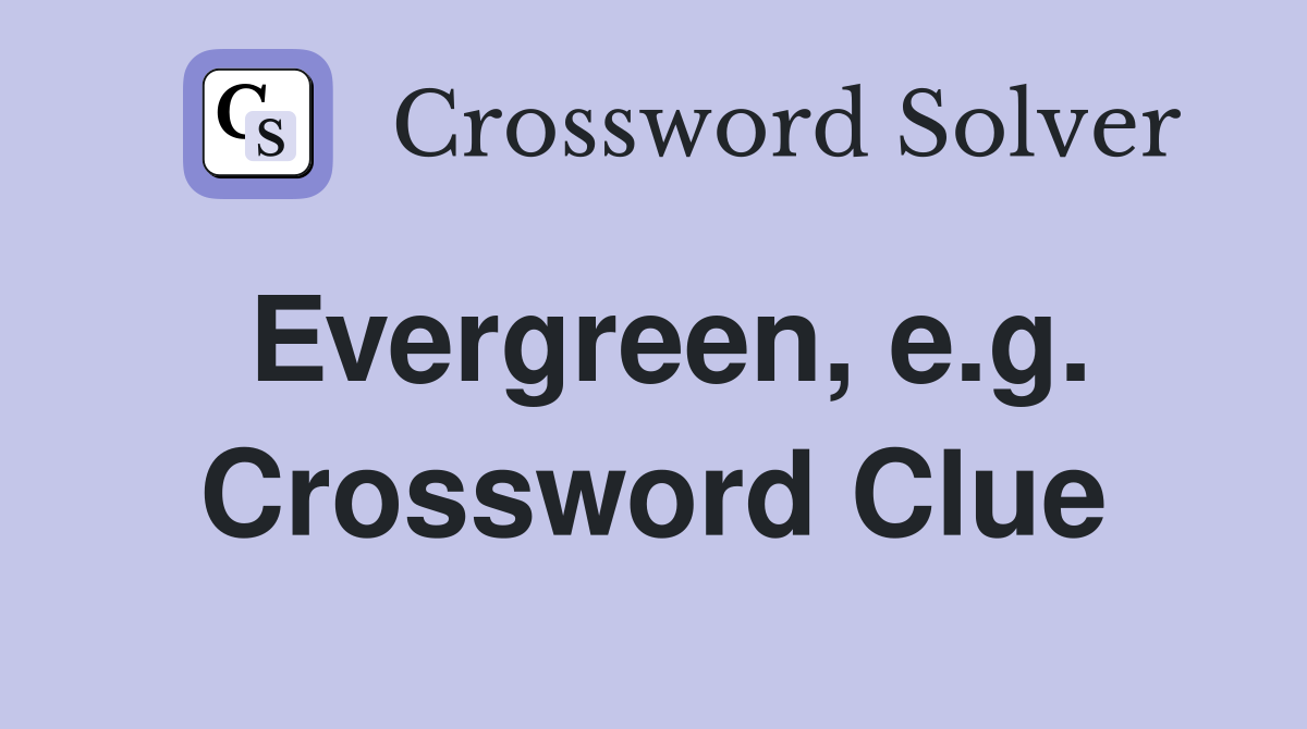 Evergreen, e.g. Crossword Clue