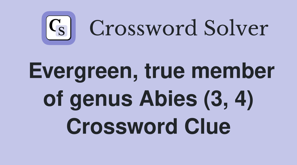 Evergreen, true member of genus Abies (3, 4) Crossword Clue
