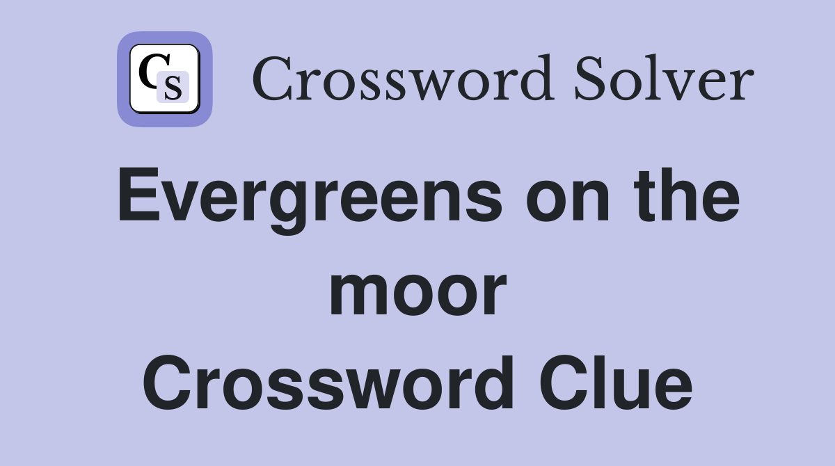 Evergreens on the moor Crossword Clue