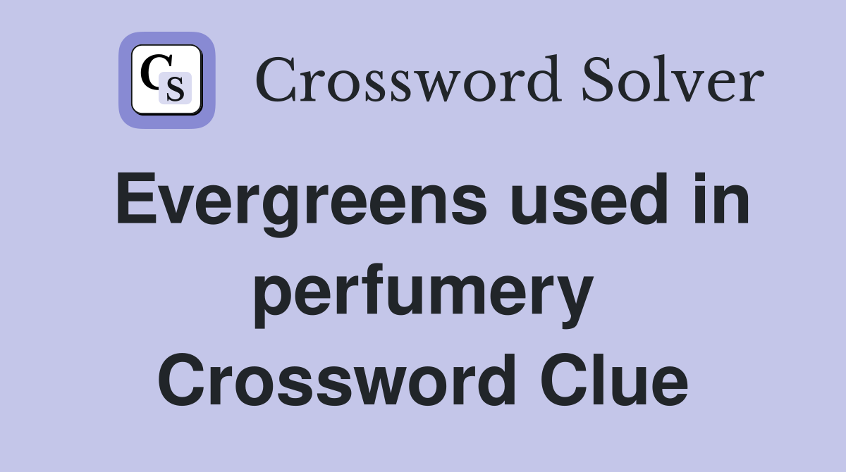 Evergreens used in perfumery Crossword Clue