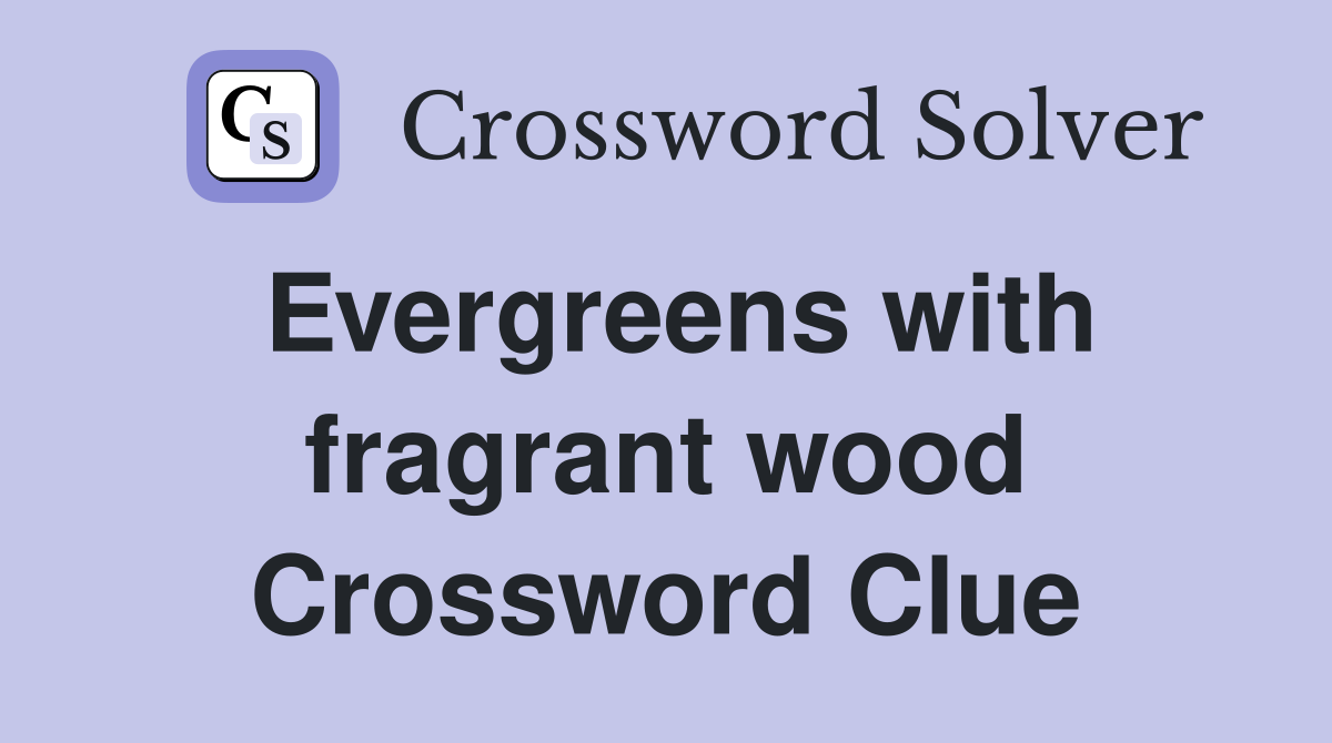 Evergreens with fragrant wood Crossword Clue