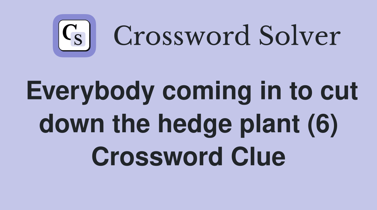 Everybody coming in to cut down the hedge plant (6) Crossword Clue