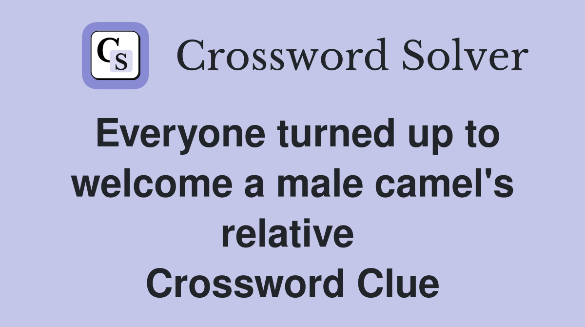 Everyone turned up to welcome a male camel's relative  Crossword Clue
