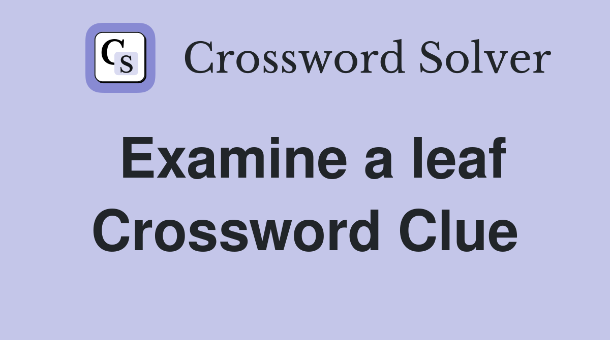 Examine a leaf Crossword Clue