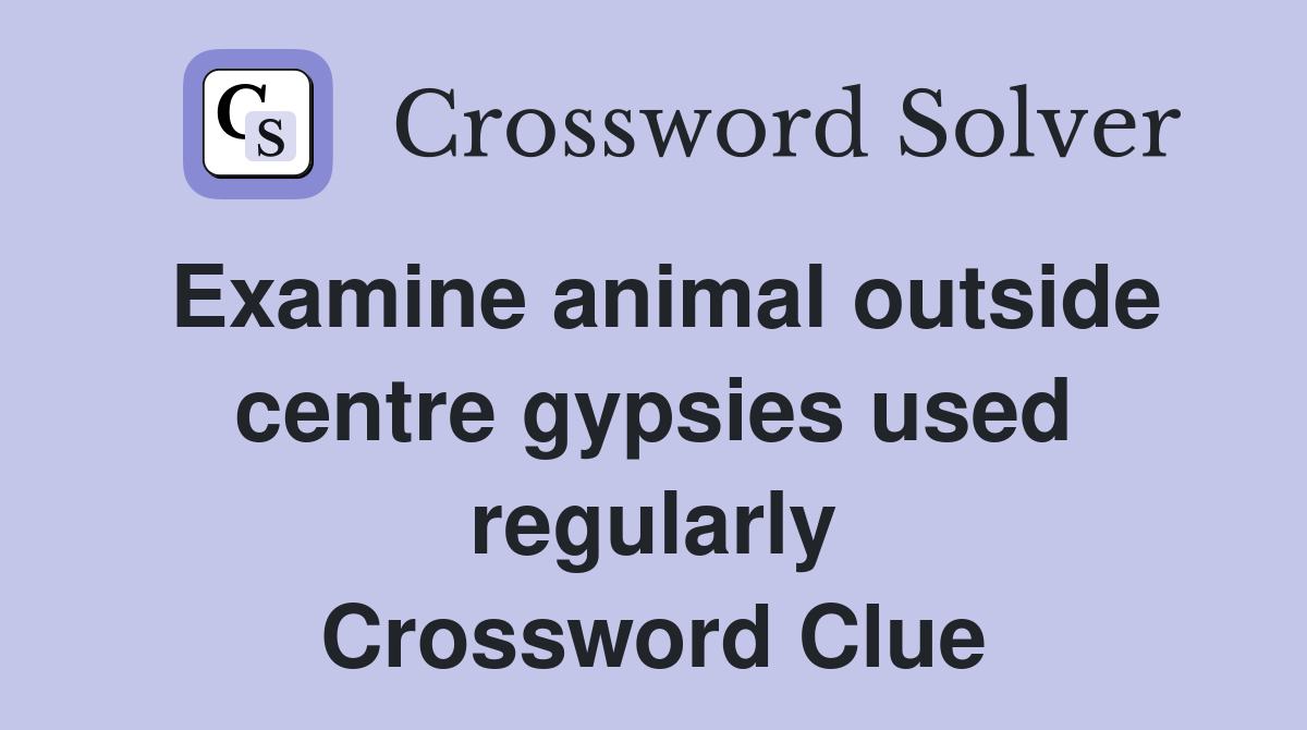 Examine animal outside centre gypsies used regularly Crossword Clue