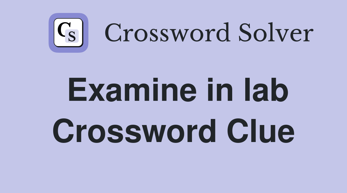 Examine in lab Crossword Clue