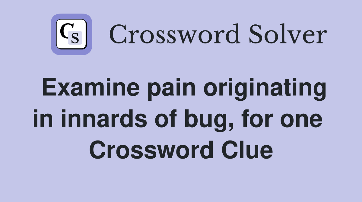Examine pain originating in innards of bug, for one  Crossword Clue
