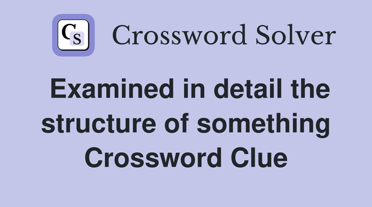 Examined in detail the structure of something Crossword Clue