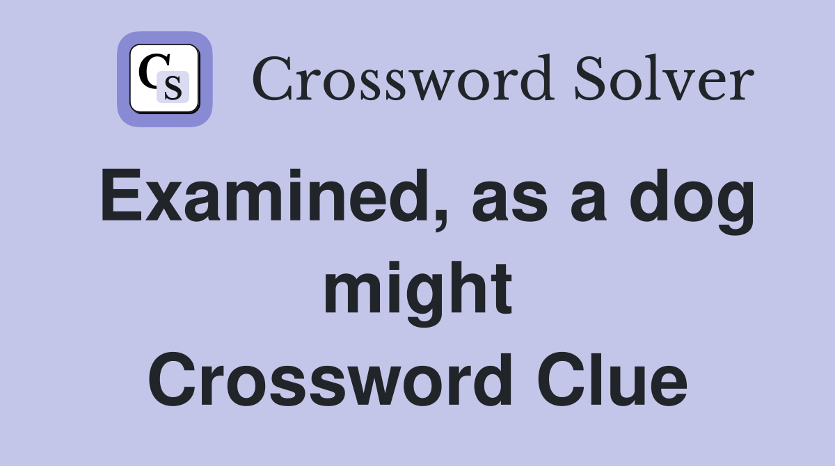 Examined, as a dog might Crossword Clue