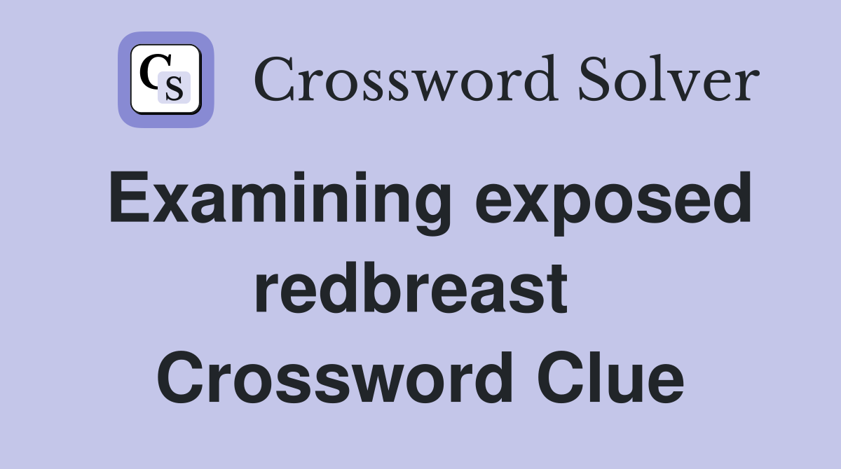 Examining exposed redbreast  Crossword Clue