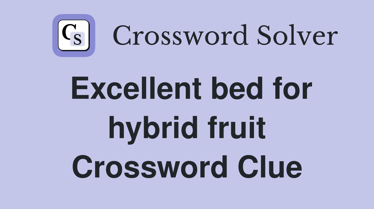 Excellent bed for hybrid fruit Crossword Clue