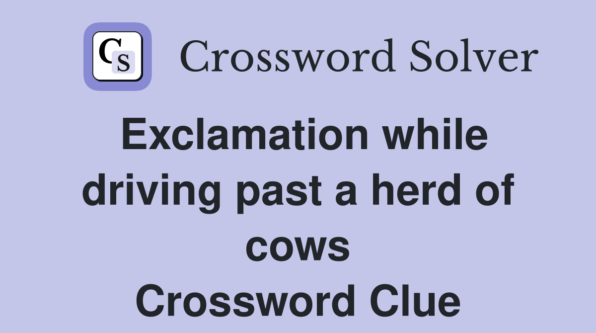 Exclamation while driving past a herd of cows Crossword Clue