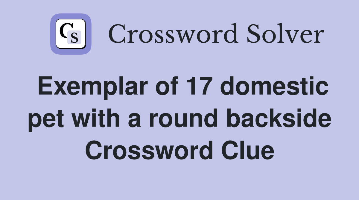 Exemplar of 17 domestic pet with a round backside Crossword Clue