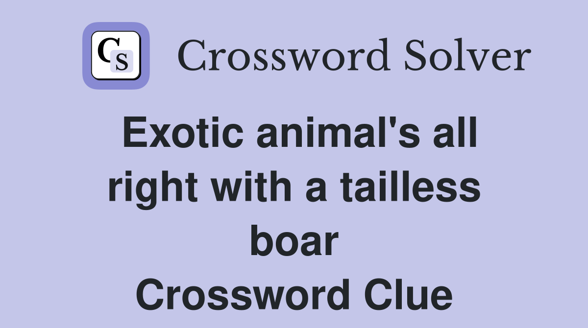Exotic animal's all right with a tailless boar Crossword Clue