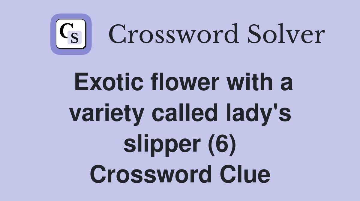 Exotic flower with a variety called lady's slipper (6) Crossword Clue