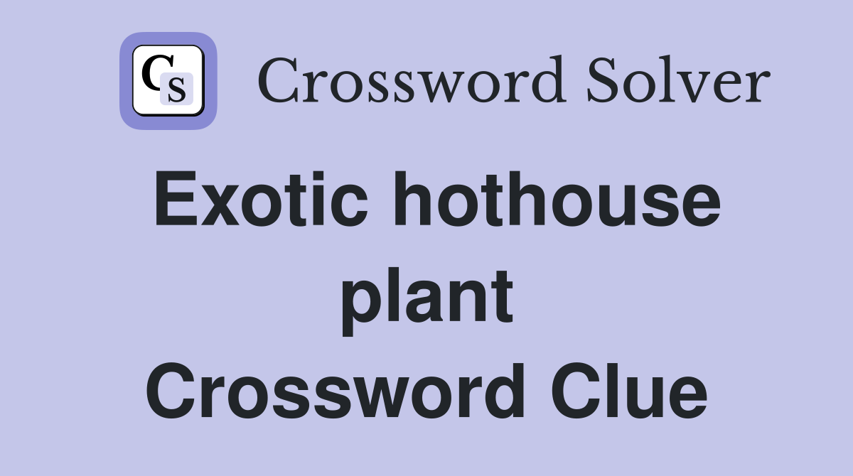 Exotic hothouse plant Crossword Clue