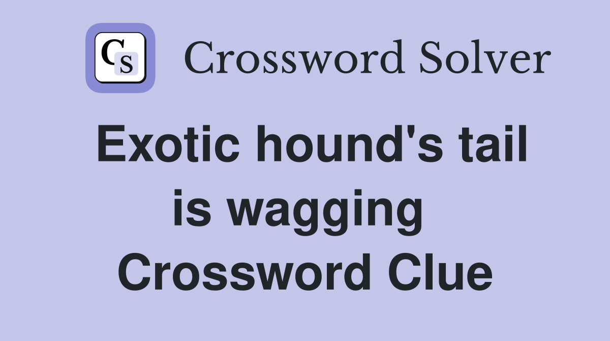 Exotic hound's tail is wagging  Crossword Clue