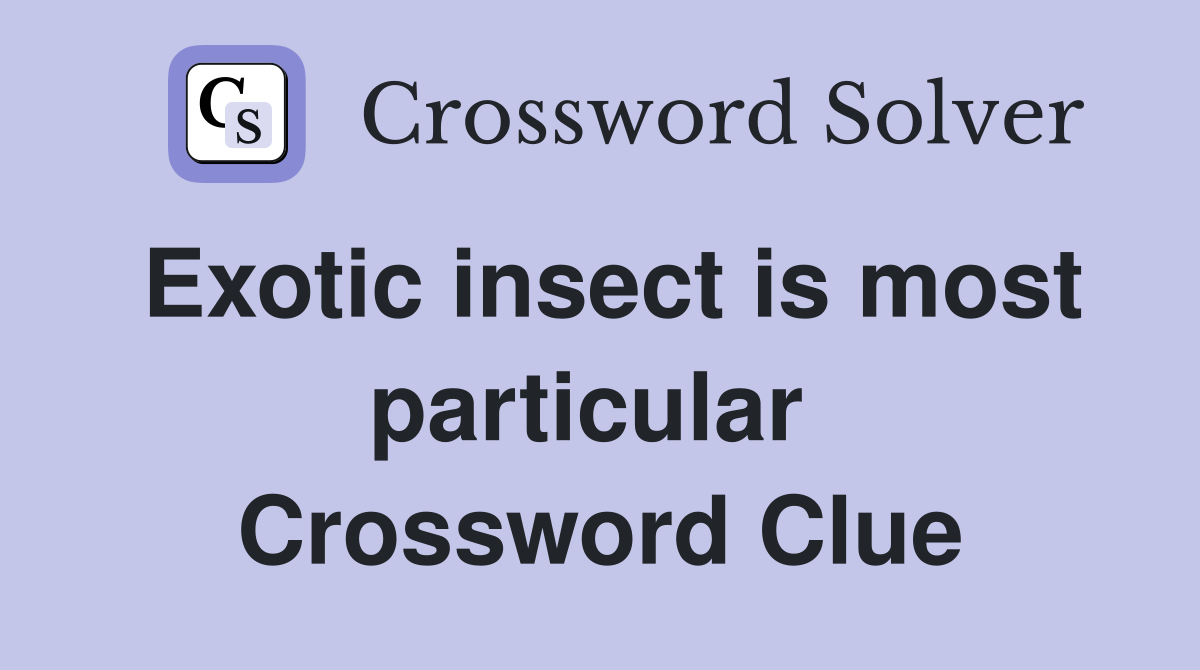Exotic insect is most particular  Crossword Clue