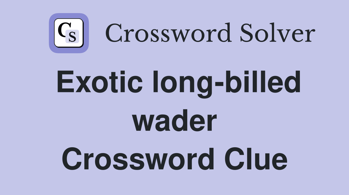 Exotic long-billed wader Crossword Clue