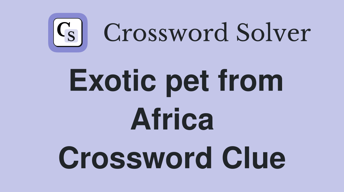 Exotic pet from Africa Crossword Clue