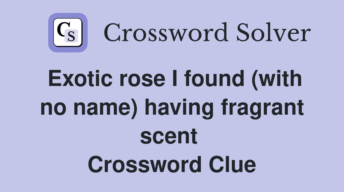 Exotic rose I found (with no name) having fragrant scent  Crossword Clue