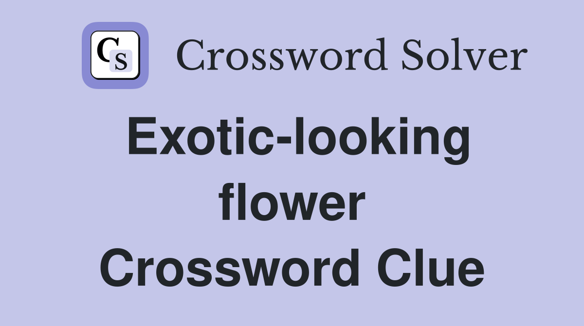 Exotic-looking flower Crossword Clue