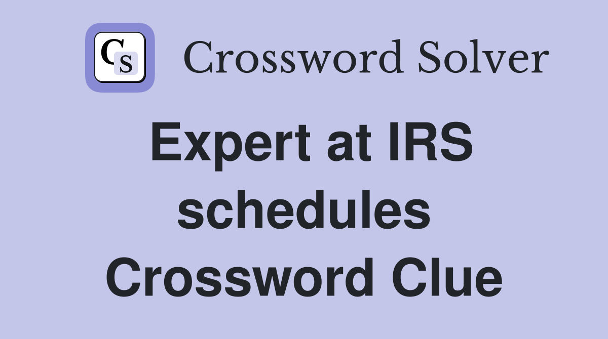 Expert at IRS schedules Crossword Clue