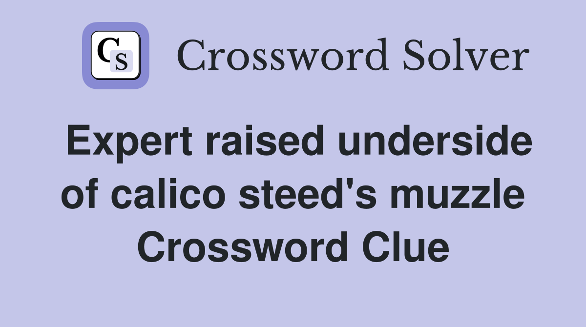 Expert raised underside of calico steed's muzzle Crossword Clue