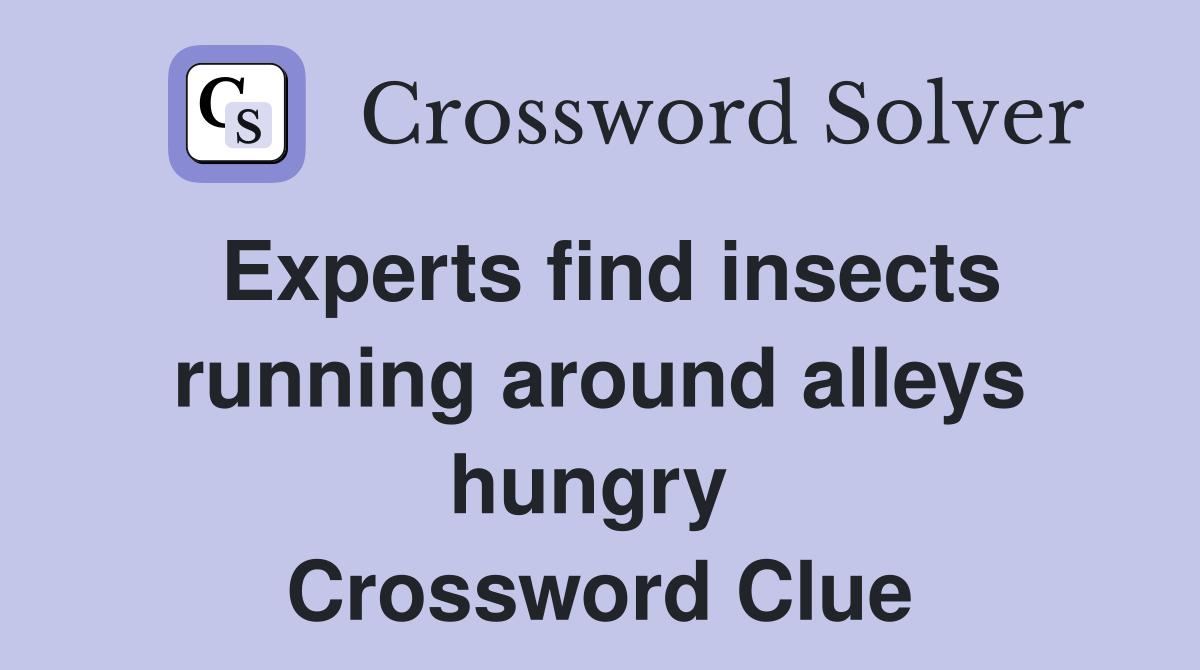 Experts find insects running around alleys hungry  Crossword Clue